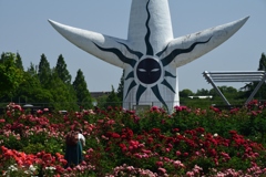 180525万博公園57+