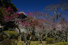 230315石山寺07