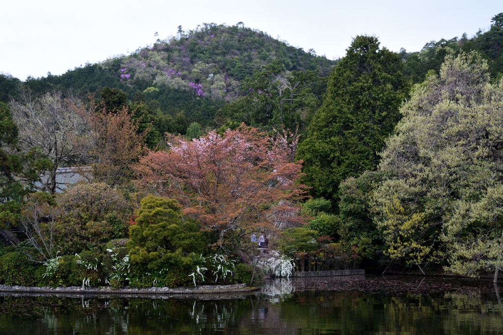 180405b龍安寺40+