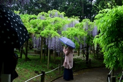 180424春日大社16+