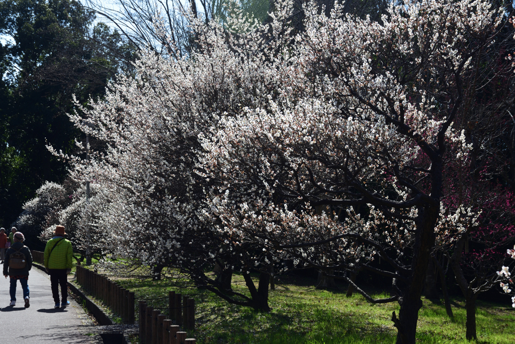 200221荒山公園32