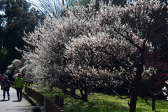 200221荒山公園32 200221荒山公園32
