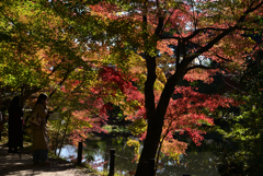 241125a京都植物園41