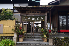 230113f宇治茶道場41