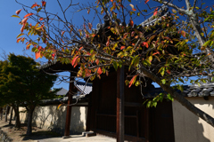 231018c法隆寺63