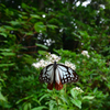 251003京都植物園31