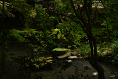 211114d円山公園28