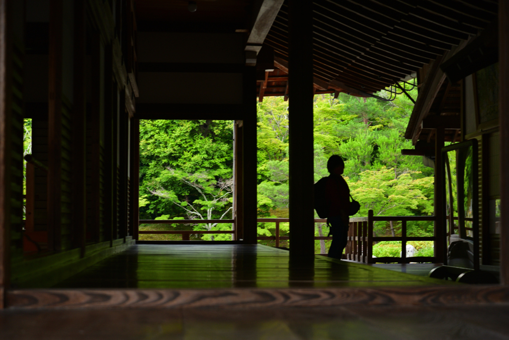 220623天龍寺60
