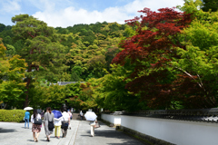 230527d永観堂30