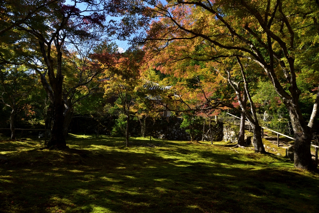 181103b神護寺47