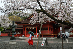 250406c富士山本宮浅間大社14