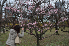 200125大阪城07 200125大阪城07