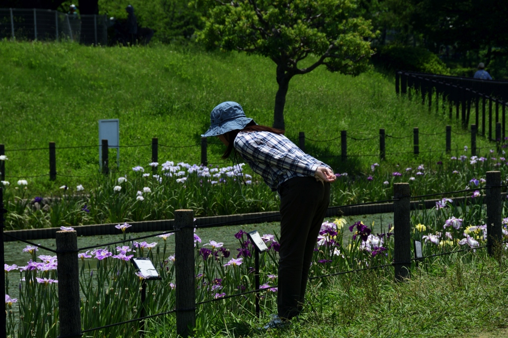180603a白鷺公園27+