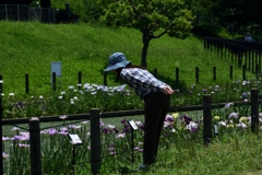 180603a白鷺公園27+