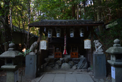 250118b大豊神社29