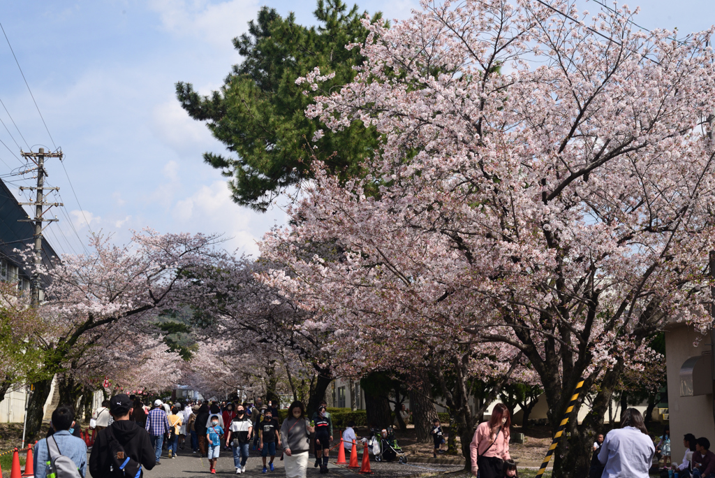 230402b自衛隊宇治34