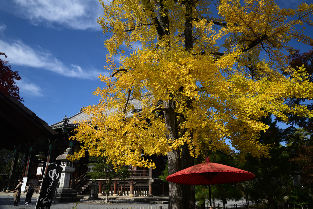 211119a清凉寺04