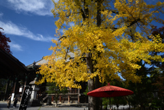 211119a清凉寺04