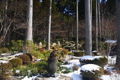 250210a大原三千院33