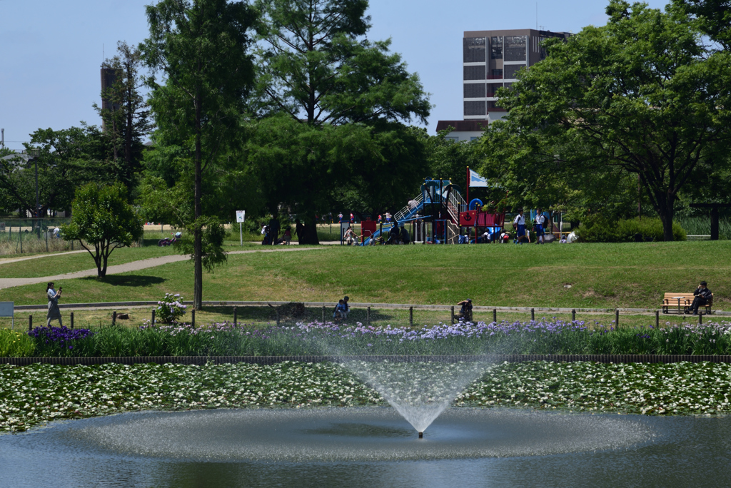 190609a白鷺公園01