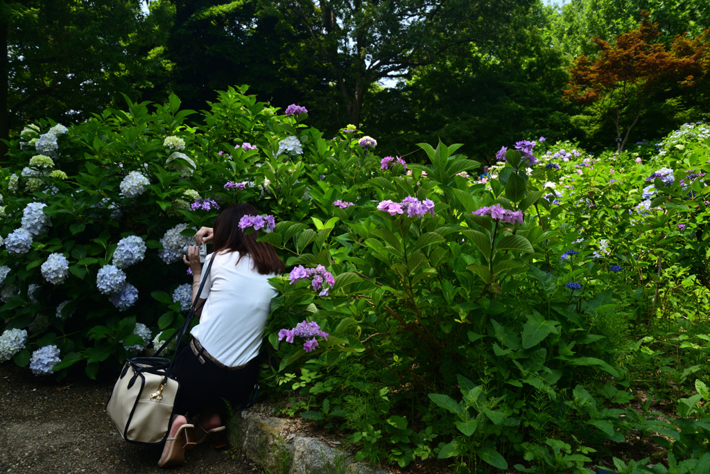 220619長居植物園15