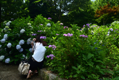 220619長居植物園15