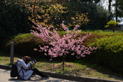 190315京都植物園71