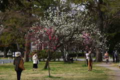 220325d京都御苑38