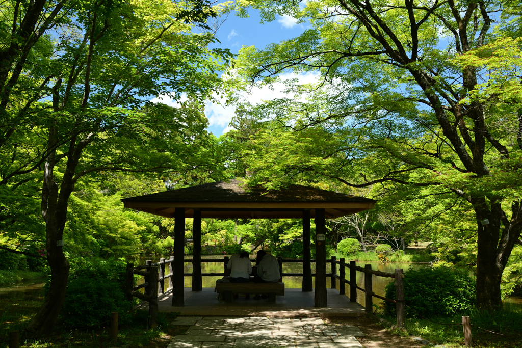 250504京都植物園60