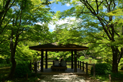 250504京都植物園60