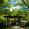 250504京都植物園60