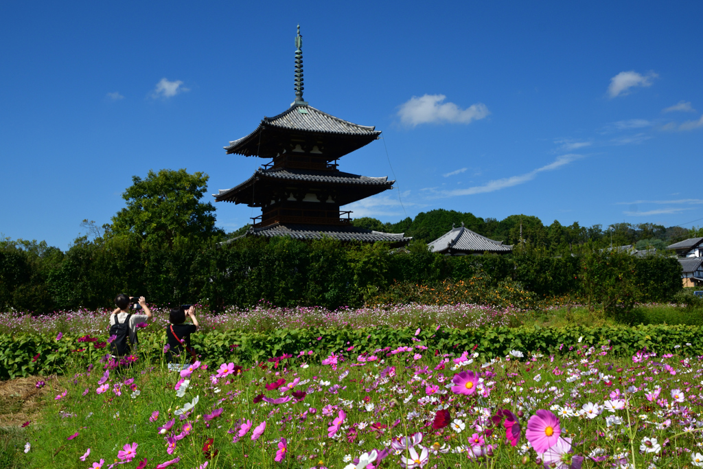 211009a法起寺42