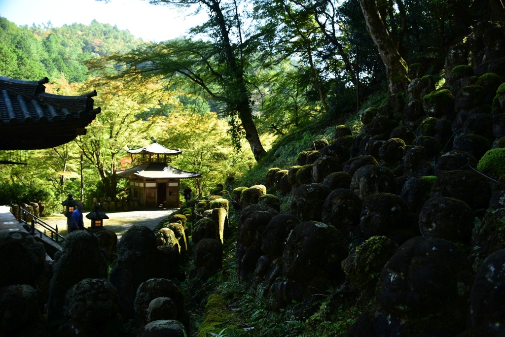 171027b愛宕念仏寺15