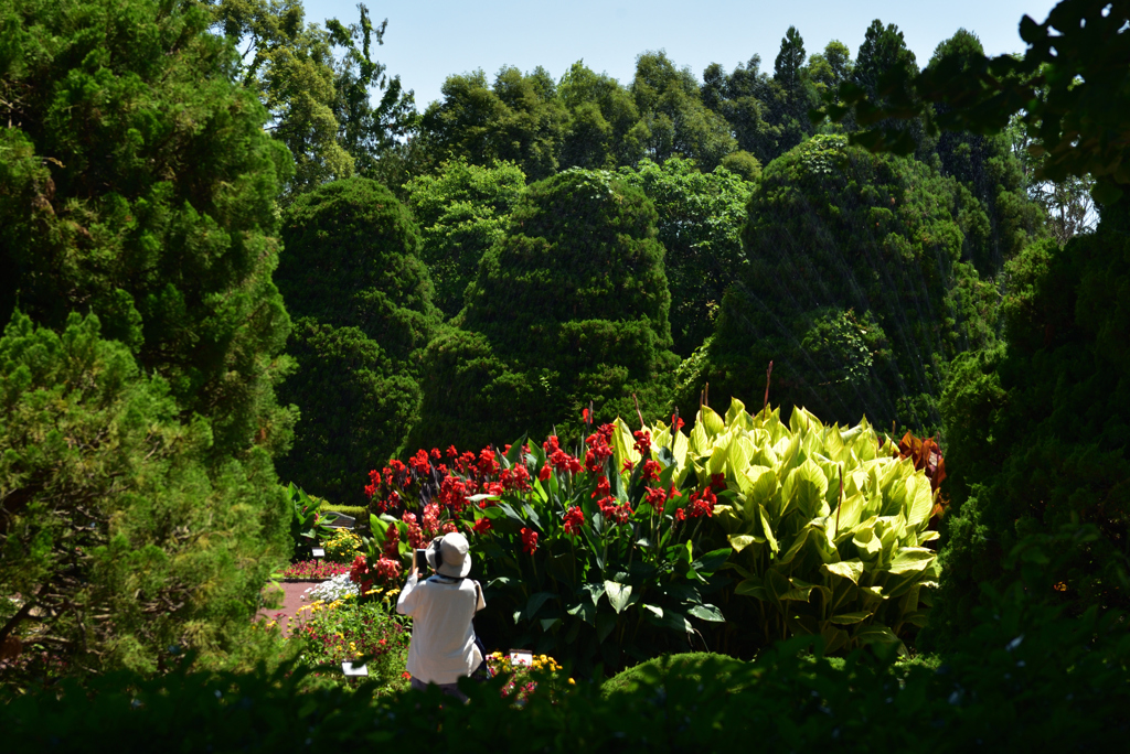 200623京都植物園30