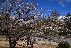 220222c京都御苑14