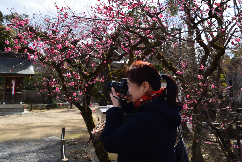 190214c北野天満宮28