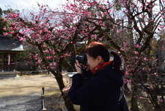 190214c北野天満宮28