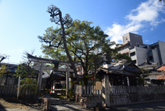 250118a出町妙音堂01