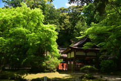 220503a上賀茂神社19