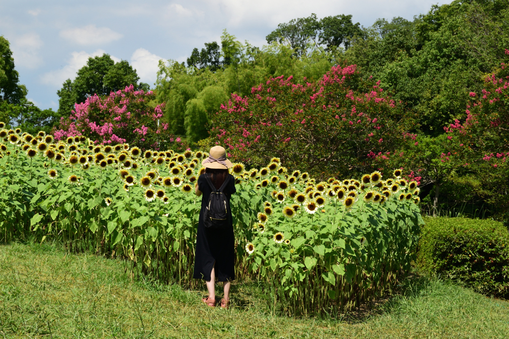 210808馬見丘陵公園41