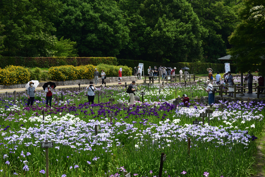 200609馬見丘陵公園09