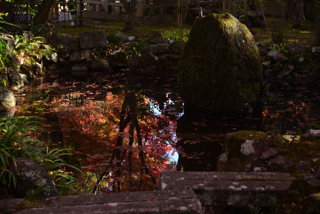 211119d壇林寺08