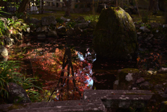 211119d壇林寺08