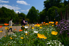 220503d京都植物園01
