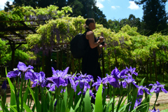 250429c萬葉植物園32