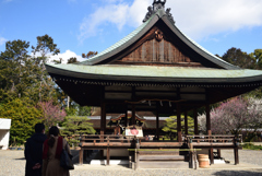 200223a梅宮大社04 200223a梅宮大社04
