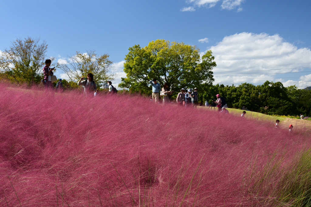 231012万博公園33