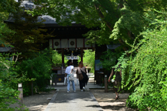 230905b梨木神社23