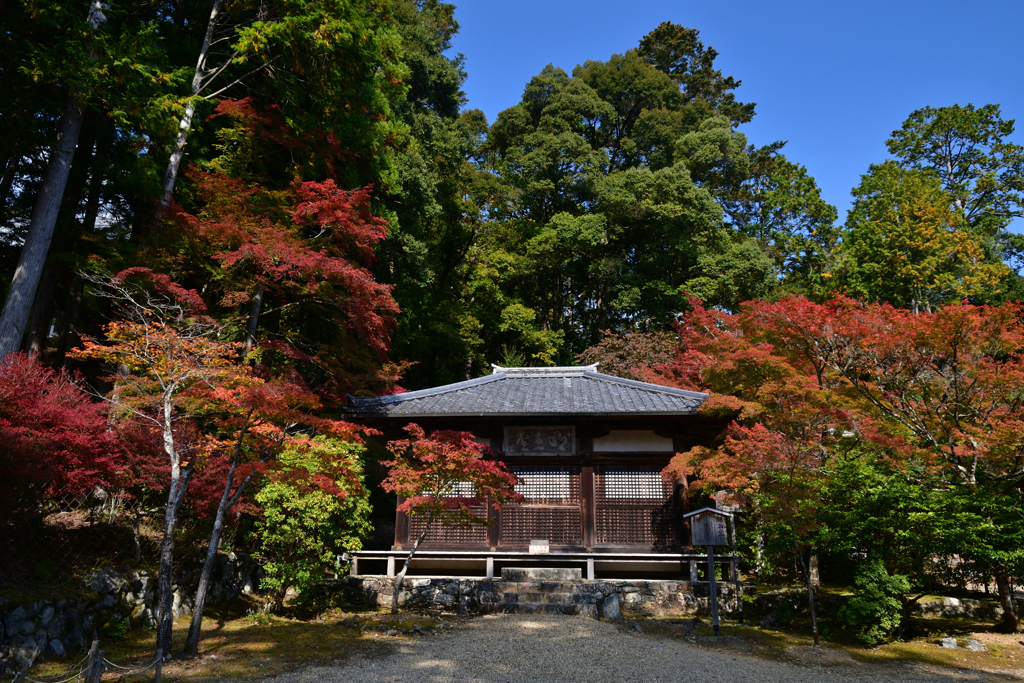 231102b神護寺33