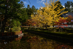 211103高野山65
